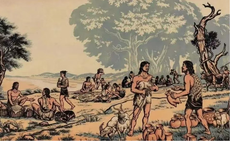 新石器时代的魔法：当人类学会种土豆，世界彻底改变了