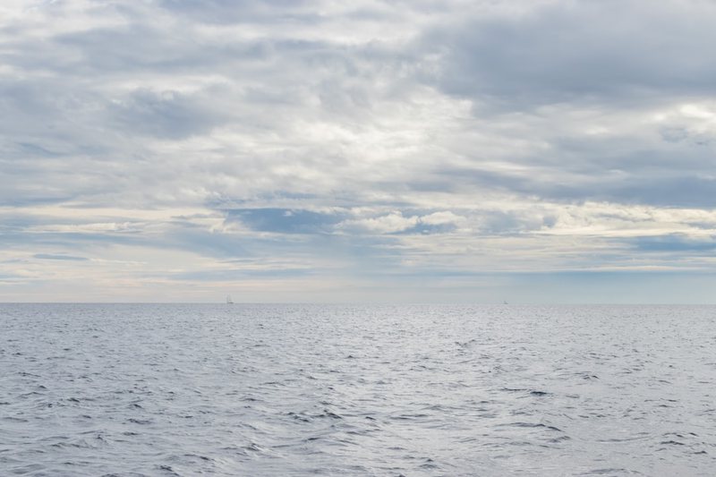 航行在太平洋的神秘生物：海龙的奇幻旅程