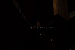 深夜刷到合恩角解剖视频，那种隔着屏幕的寒意，谁懂啊