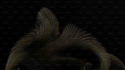 当空间开始折叠，黑色羽毛从何而来？