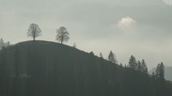 阿尔卑斯树精的秘密：大自然的吞噬者