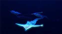 亚马逊深处的“迷宫”与“雷霆”｜揭秘深海电鳗兽的生存智慧