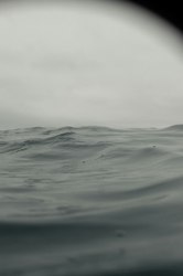 当丰收遇上"僵尸"：揭秘大洋洲农田里的神秘现象