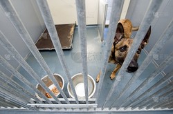 那些被遗忘的角落：探访城市中的温暖收容所