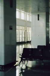 废弃机场的镜像：黑色羽毛背后的自然与建筑对话