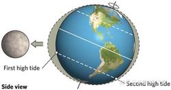 逆向潮汐石质头骨—被遗忘的海洋记忆