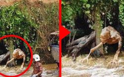 夜色中的神秘踪迹：一次古怪目击记