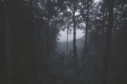 黑森林失真照片透明人