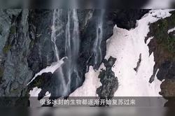 在冰封的深处，隐藏着古老的秘密