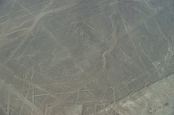 秘鲁纳斯卡线条：刻在荒原上的千古谜题，到底是谁画的？