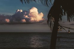 佛罗里达海峡的“光之会”—一场被误解的自然奇观