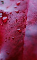 尘封时光：血雨撞击坑胶片残卷的神秘故事
