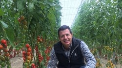 从小小番茄到全球盛宴：一场跨越千年的美食革命