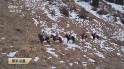 铁轨上的守夜人！