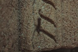 我家里那台老录像机，藏着一段被遗忘的时光