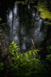 揭秘神秘石板铭文：镜像人背后的秘密