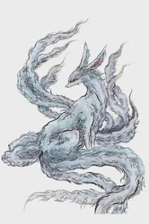 九尾狐的光明｜自然界的神奇之眼