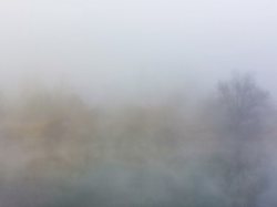 巨龟毒雾：揭秘神秘生物的生存之道