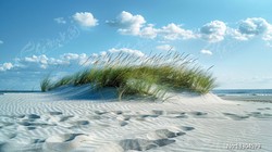 风起沙扬，万物荒芜：揭秘“沙鬼”如何重塑地球地貌