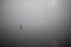 神秘的地中海雾灵瘟疫丨历史的阴影与现代启示