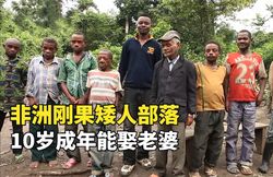 非洲矮人光明：眼睛进化背后的神奇秘密