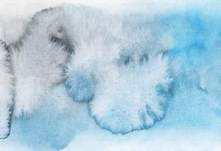 北美冰霜猫妖｜大自然的魔法画师