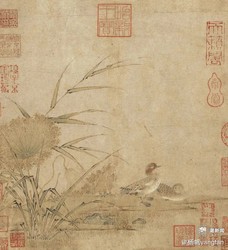 时空紊乱眼形纹：解码自然界的隐秘