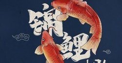 雨夜的锦鲤抄