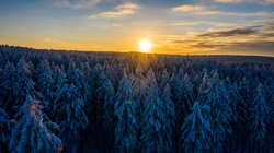 凌晨四点，我在芬兰边境看见了光