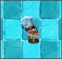 洞穴里的“僵尸时间”：一场与自然的诡异相遇