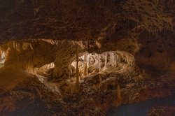 玻璃棺里的鬼火，照亮了我二十年的执念…