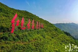 在老城的墙缝里，我看见了红色的光