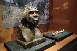 古老大洋洲暗夜精灵·大堡礁的神秘生物之光