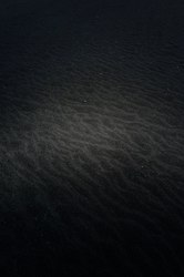 消失的沙丘：大洋洲沙元素究竟去哪儿了？揭秘大自然的“吞噬”魔法