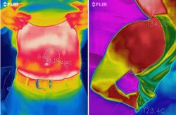 FLIR1证人陈述—一场关乎真相的较量
