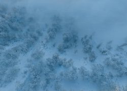 云中的奇迹：冰霜云的秘密