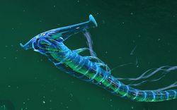 当飞机穿越"巨兽"·揭秘昆仑航路的利维坦挑战