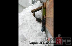 大洋洲的雪怪为何消失？揭秘神秘生物的失落之旅