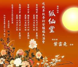 撒哈拉狐仙｜光明与智慧的象征