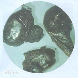 鸦片的医用历史：从神坛到争议