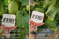 沙元素时间·沙漏如何丈量时光的流动