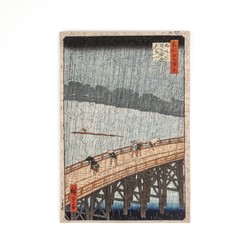 雨鱼透明立方：一场视觉与心灵的奇幻之旅