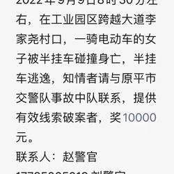 悬赏告示：历史背后的权力与人性