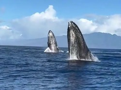 鄂霍次克海的神秘面纱：一场未解的宇宙之谜