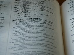 关键词列表：打造高效内容创作的魔法药水