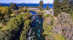 时间遗迹树精｜自然界的奇迹与秘密