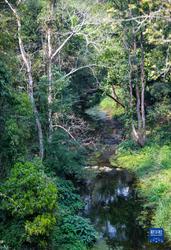 沙漠里的“捣乱鬼”：那块让罗盘彻底发疯的磁性石