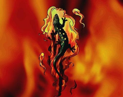 北极之谜：为什么没有火蜥？