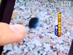 那些消失在时光里的秘密：自转石日记的秘密