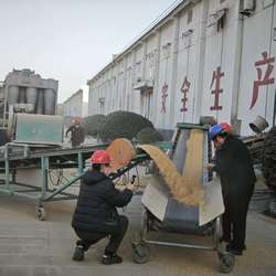 千年智慧的粮仓：从古代粮仓到现代储备的演变